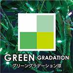 GREEN GRADATION/グリーングラデーション球