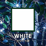 WHITE/ホワイト球